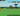 1x BONE BLOSSOM Tree + 1x FOSSLIGHT Tree | 58T+ COINS |⚡ HUGE SEEDS & PETS COLLECTION | ✅ FULL ACCESS | ⚡ INSTANT DELIVERY