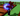 xBTd27sHn9