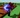 xBTd27sHn9