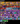 Screenshot_1