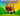 ROBLOX-RED-FOX-GROW-A-GARDEN-PET-MOZLIWA-MUTACJA