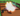 ❄️Ascended Kitsune ❄️10sx free❄️Grow a Garden ❄️