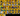 zx18GOYVb5